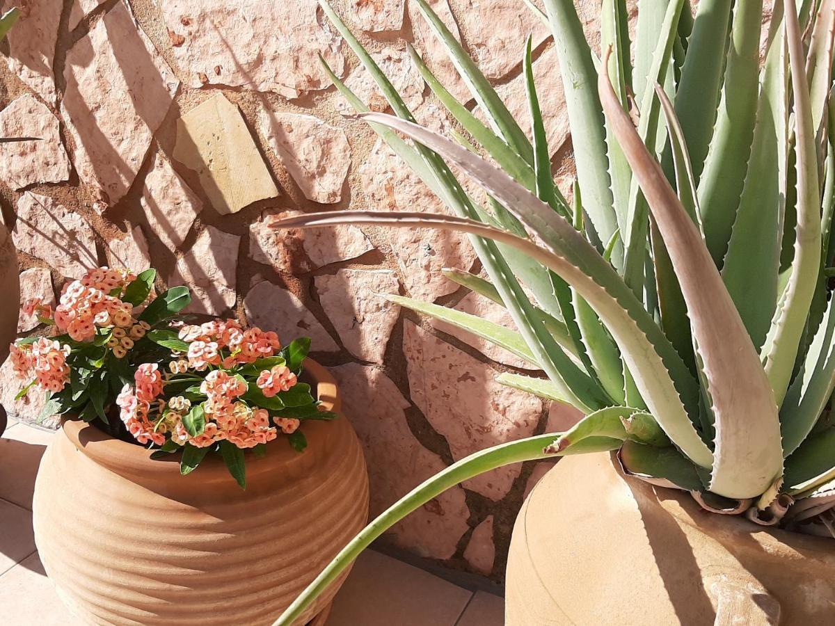 Aloe Villa Chania Crete Georgioupoli Luaran gambar